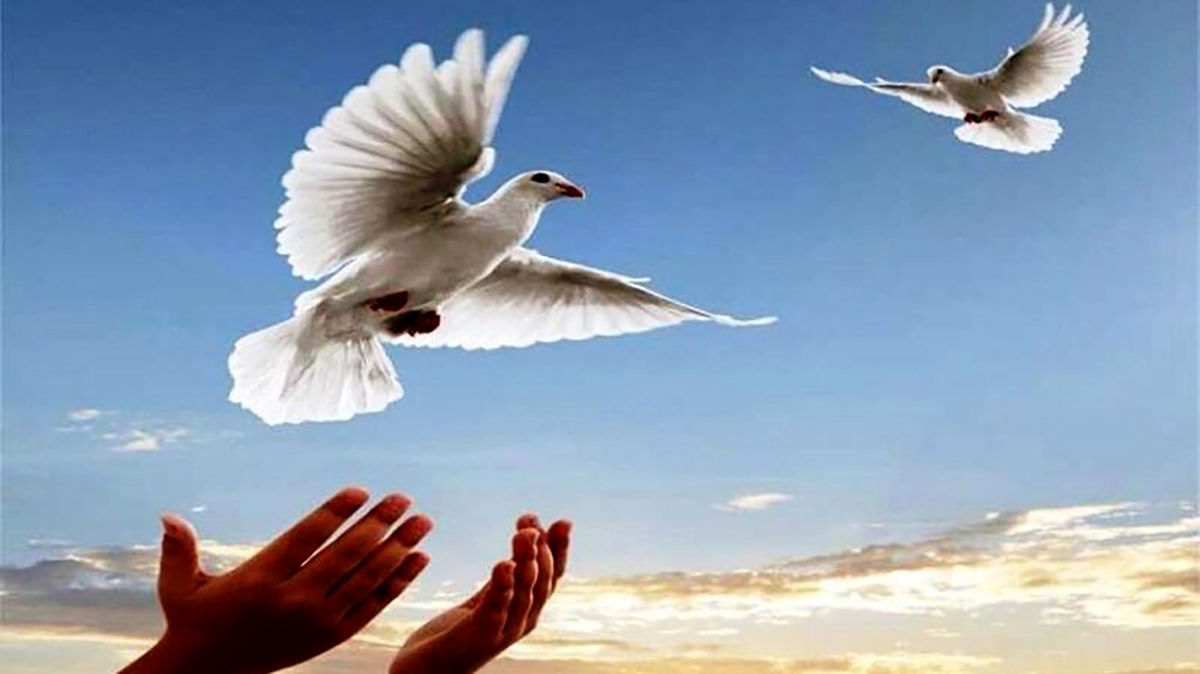 رهایی از قصاص با پرداخت دیه ۶ میلیاردی