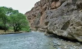 گرفتار شدن بیش از ۱۰۰ طبیعت گرد در دره شمخال درگز 

