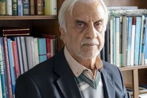 کسانی که خود را هسته سخت نظام می‌دانند چرا عازم غزه نمی‌شوند؟