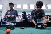 172864677_M_MP5778