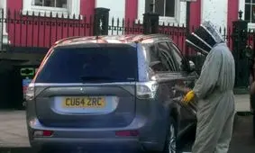 ۴۸ ساعت تعقیب یک خودرو توسط ۲۰ هزار زنبور عسل