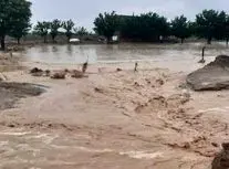 نمایی از خسارت سیل اخیر به کشاورزان هرمزگانی/ ویدئو