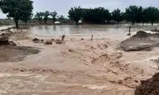 نمایی از خسارت سیل اخیر به کشاورزان هرمزگانی/ ویدئو