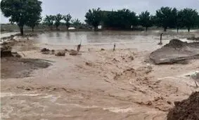 نمایی از خسارت سیل اخیر به کشاورزان هرمزگانی/ ویدئو