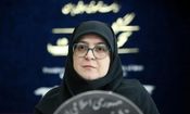 سخنگوی دولت: رژیم صهیونیستی به دنبال خرابکاری در مذاکرات است