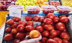 گوجه فرنگی احمدی نژاد به۱۴۰۲ رسید/ گوجه فرنگی رکورد دلار را زد