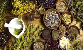 ١٠ داروی گیاهی که به درمان کرونا کمک می کند